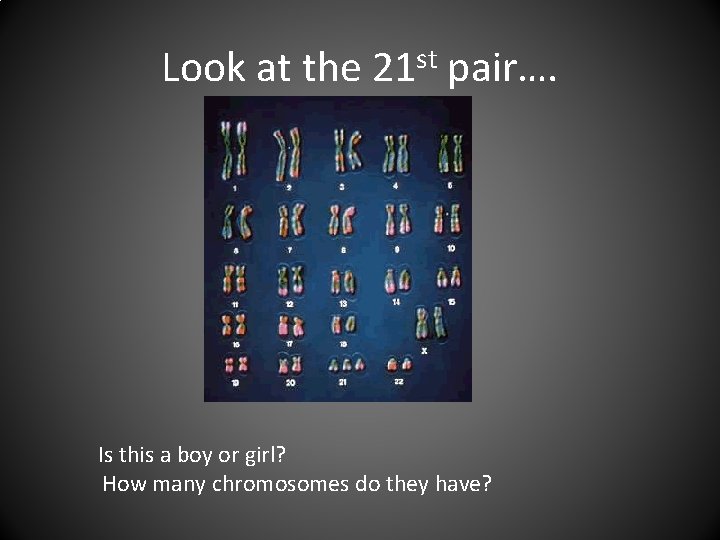 Look at the 21 st pair…. Is this a boy or girl? How many