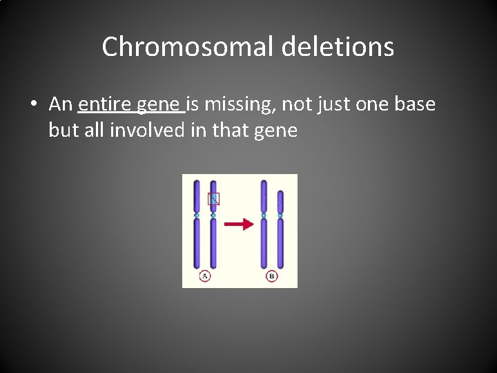 Chromosomal deletions • An entire gene is missing, not just one base but all