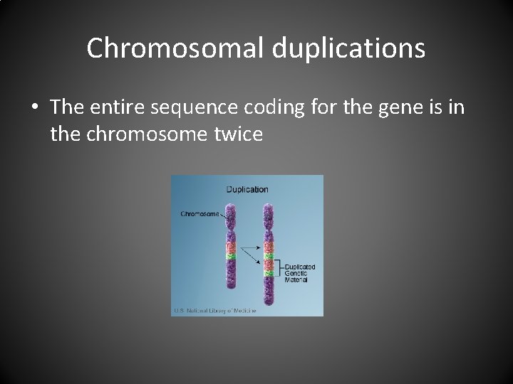 Chromosomal duplications • The entire sequence coding for the gene is in the chromosome