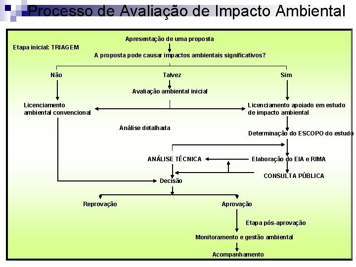 Processo de Avaliação de Impacto Ambiental Apresentação de uma proposta Etapa inicial: TRIAGEM A