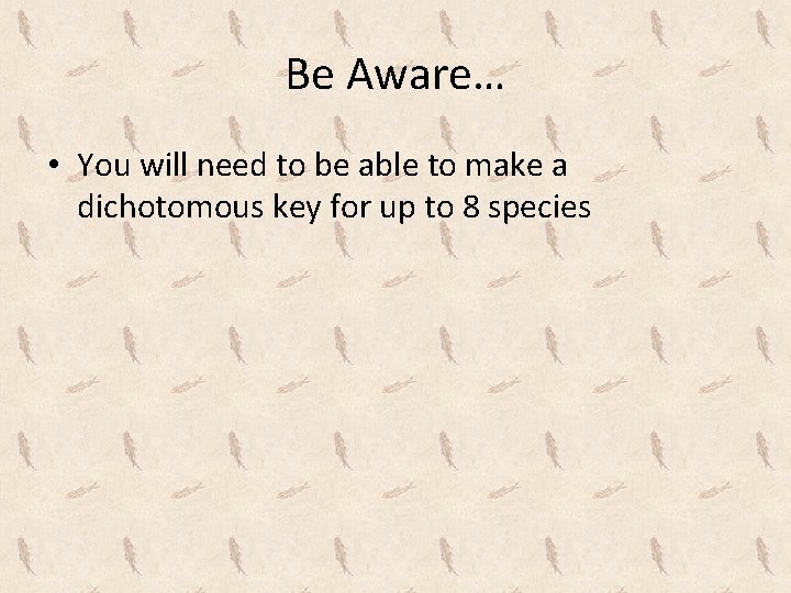 Be Aware… • You will need to be able to make a dichotomous key