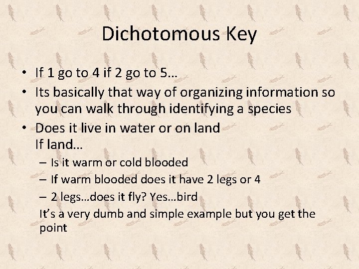 Dichotomous Key • If 1 go to 4 if 2 go to 5… •
