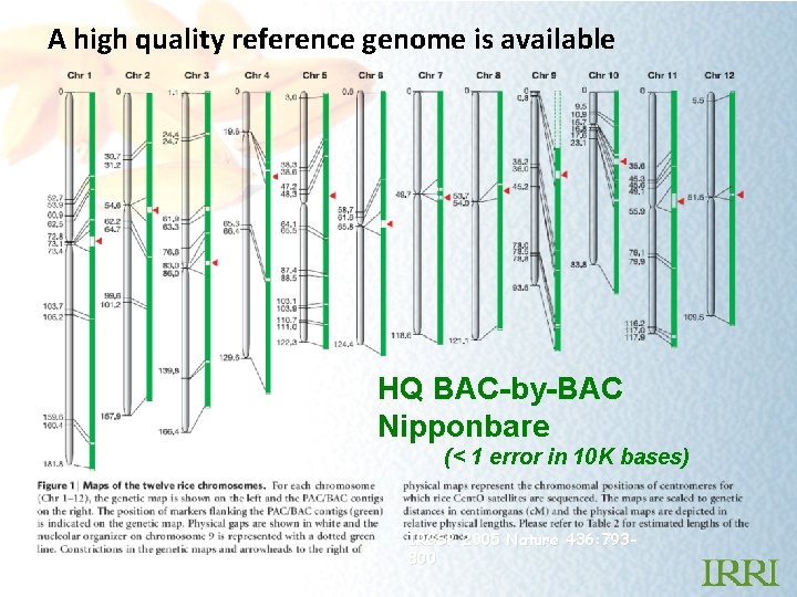 A high quality reference genome is available HQ BAC-by-BAC Nipponbare (< 1 error in