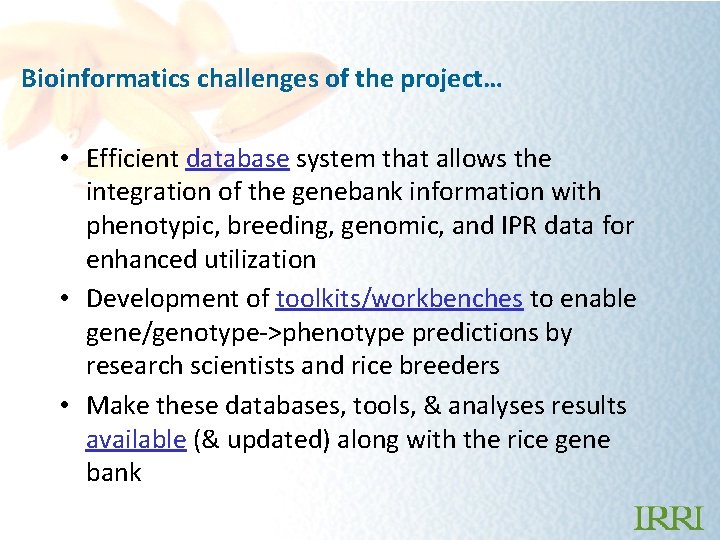 Bioinformatics challenges of the project… • Efficient database system that allows the integration of