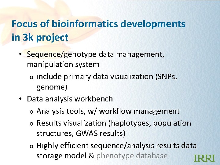 Focus of bioinformatics developments in 3 k project • Sequence/genotype data management, manipulation system