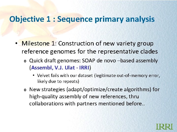 Objective 1 : Sequence primary analysis • Milestone 1: Construction of new variety group