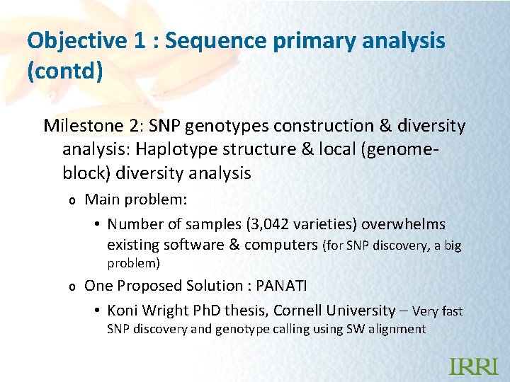 Objective 1 : Sequence primary analysis (contd) Milestone 2: SNP genotypes construction & diversity