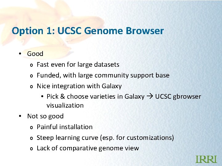 Option 1: UCSC Genome Browser • Good o Fast even for large datasets o