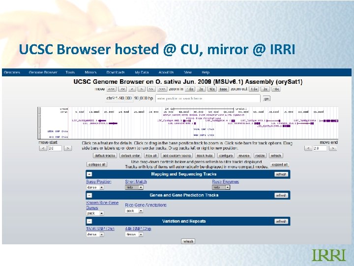 UCSC Browser hosted @ CU, mirror @ IRRI 
