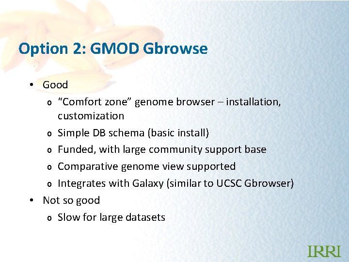 Option 2: GMOD Gbrowse • Good o “Comfort zone” genome browser – installation, customization