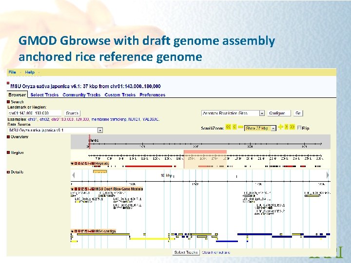 GMOD Gbrowse with draft genome assembly anchored rice reference genome 