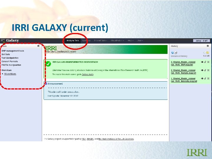 IRRI GALAXY (current) 