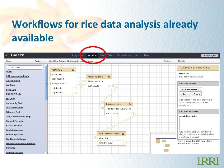 Workflows for rice data analysis already available 