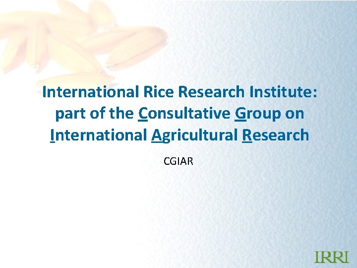 International Rice Research Institute: part of the Consultative Group on International Agricultural Research CGIAR