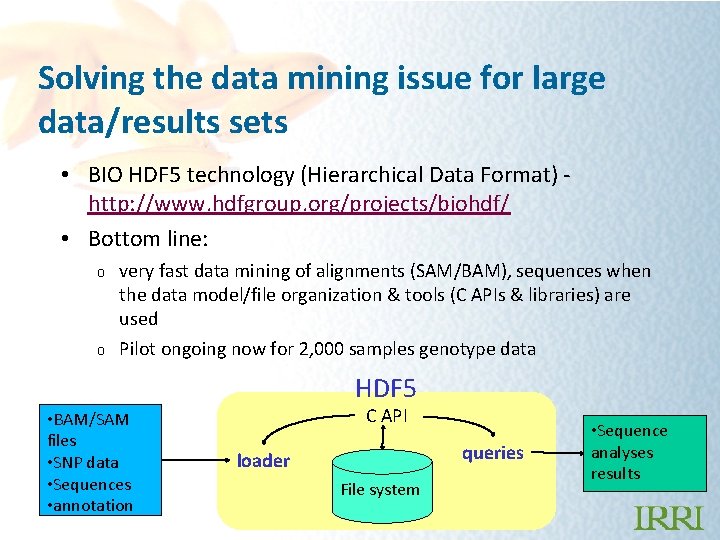 Solving the data mining issue for large data/results sets • BIO HDF 5 technology