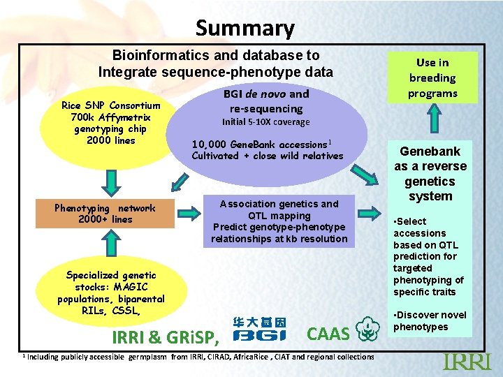 Summary Bioinformatics and database to Integrate sequence-phenotype data Rice SNP Consortium 700 k Affymetrix