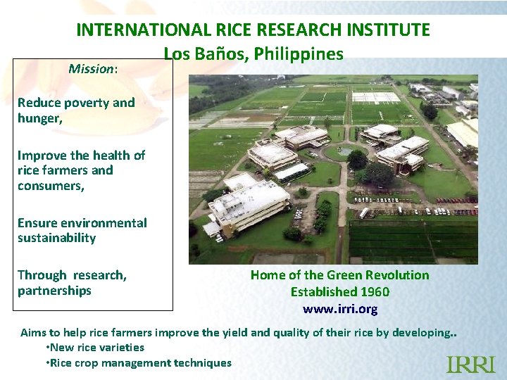 INTERNATIONAL RICE RESEARCH INSTITUTE Los Baños, Philippines Mission: Reduce poverty and hunger, Improve the