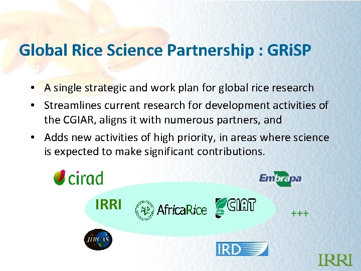 Global Rice Science Partnership : GRi. SP • A single strategic and work plan