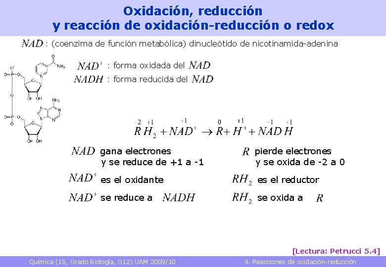 Oxidación, reducción y reacción de oxidación-reducción o redox : (coenzima de función metabólica) dinucleótido