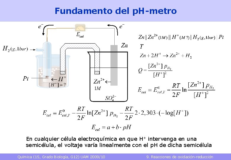 Fundamento del p. H-metro En cualquier célula electroquímica en que H+ intervenga en una