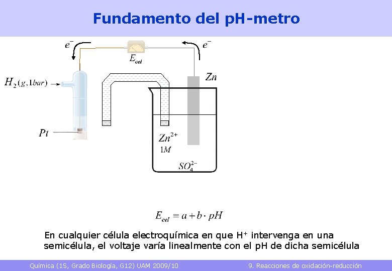 Fundamento del p. H-metro En cualquier célula electroquímica en que H+ intervenga en una