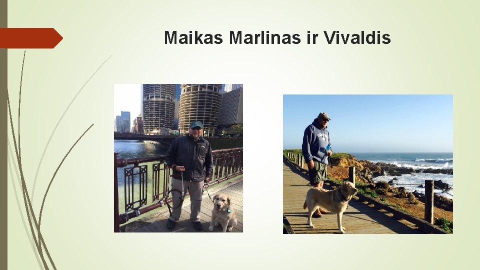 Maikas Marlinas ir Vivaldis 