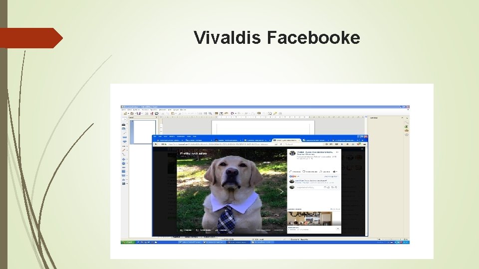 Vivaldis Facebooke 