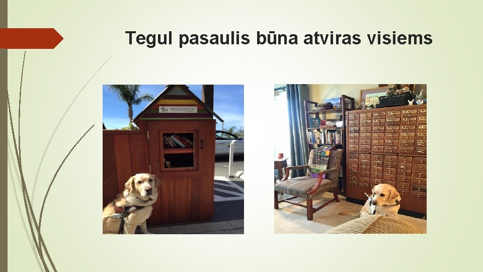 Tegul pasaulis būna atviras visiems 