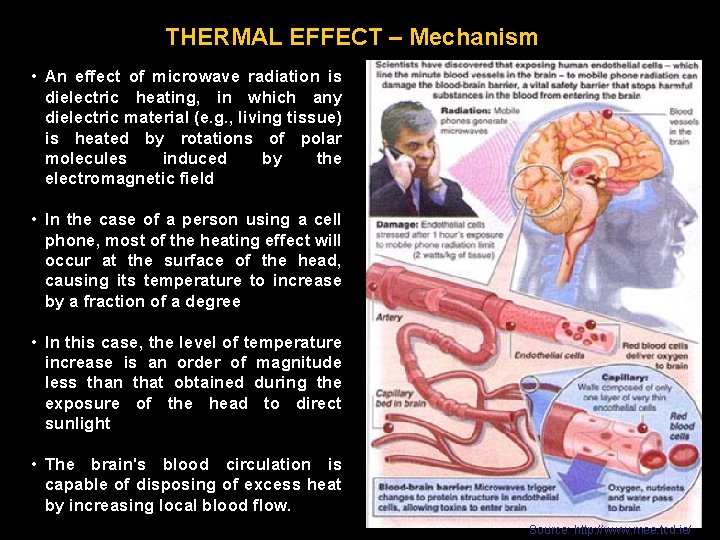 THERMAL EFFECT – Mechanism • An effect of microwave radiation is dielectric heating, in