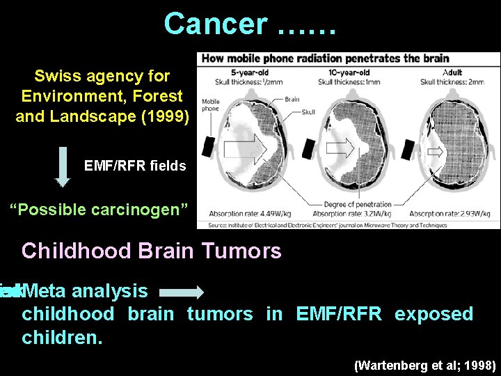 Cancer …… Swiss agency for Environment, Forest and Landscape (1999) EMF/RFR fields “Possible carcinogen”