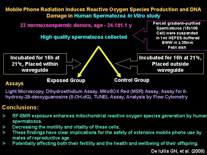 Mobile Phone Radiation Induces Reactive Oxygen Species Production and DNA Damage in Human Spermatozoa