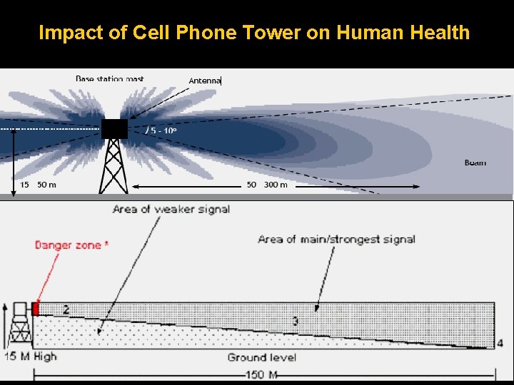 Impact of Cell Phone Tower on Human Health 