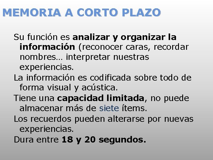 MEMORIA A CORTO PLAZO Su función es analizar y organizar la información (reconocer caras,