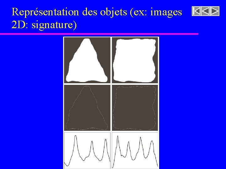 Représentation des objets (ex: images 2 D: signature) 