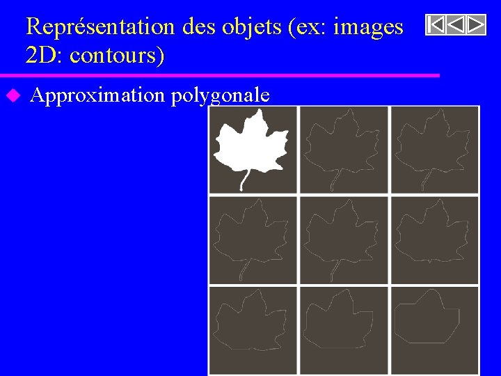 Représentation des objets (ex: images 2 D: contours) u Approximation polygonale 