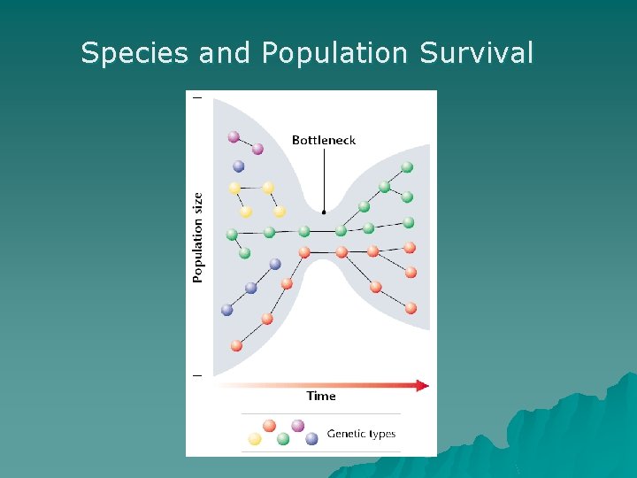 Species and Population Survival 