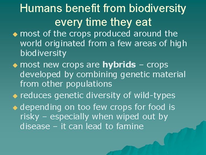 Humans benefit from biodiversity every time they eat most of the crops produced around