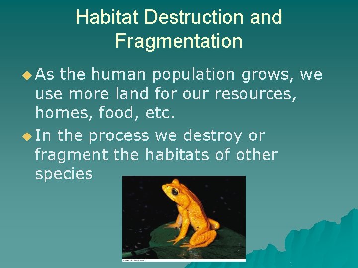 Habitat Destruction and Fragmentation u As the human population grows, we use more land