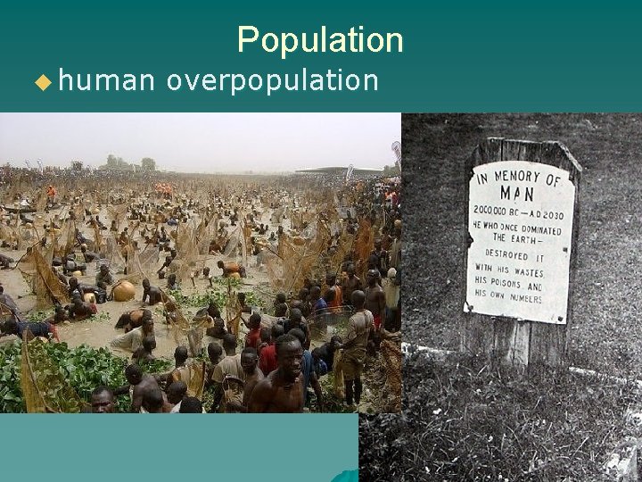 Population u human overpopulation 