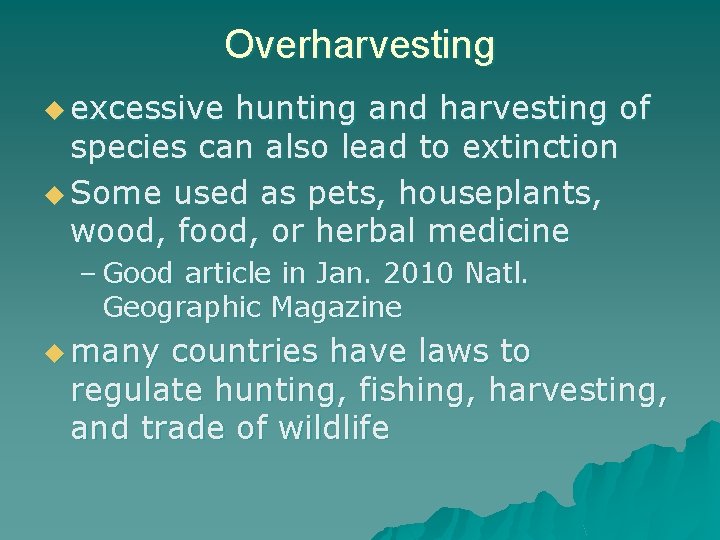 Overharvesting u excessive hunting and harvesting of species can also lead to extinction u