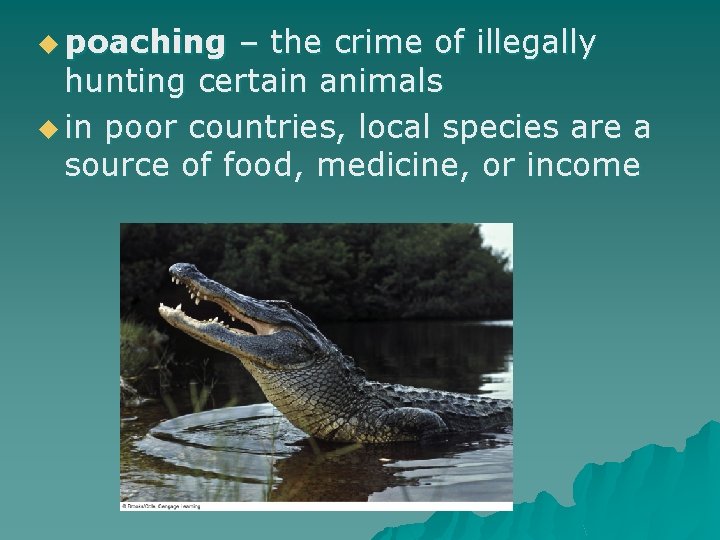 u poaching – the crime of illegally hunting certain animals u in poor countries,