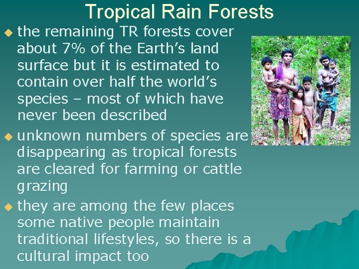 Tropical Rain Forests the remaining TR forests cover about 7% of the Earth’s land