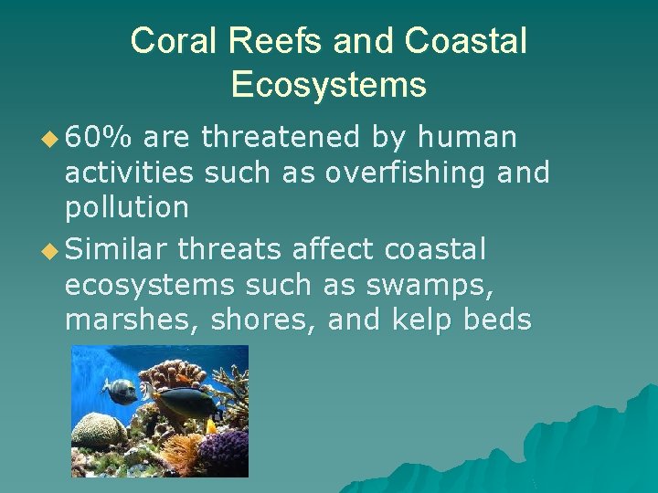 Coral Reefs and Coastal Ecosystems u 60% are threatened by human activities such as