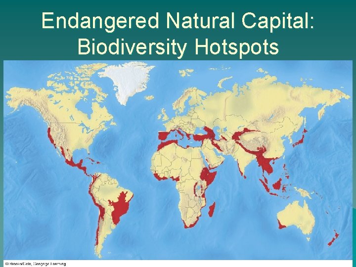 Endangered Natural Capital: Biodiversity Hotspots 