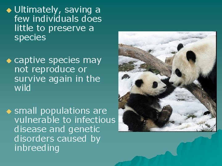 u u u Ultimately, saving a few individuals does little to preserve a species