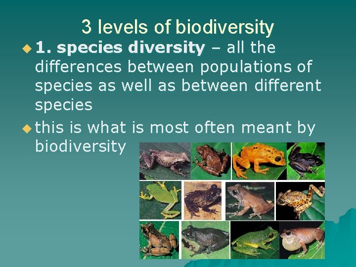 u 1. 3 levels of biodiversity species diversity – all the differences between populations