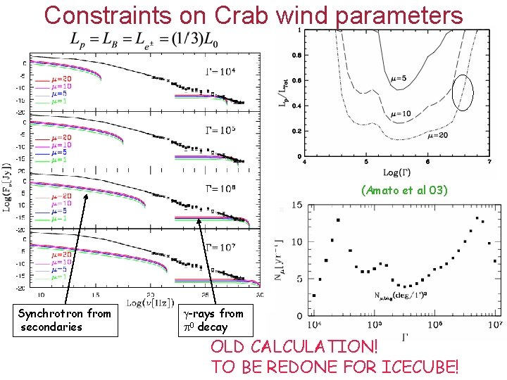 Constraints on Crab wind parameters (Amato et al 03) Synchrotron from secondaries -rays from