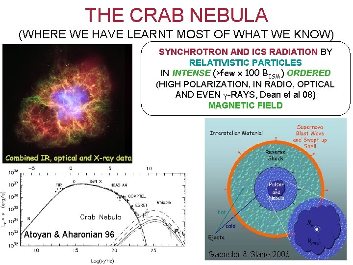 THE CRAB NEBULA (WHERE WE HAVE LEARNT MOST OF WHAT WE KNOW) SYNCHROTRON AND