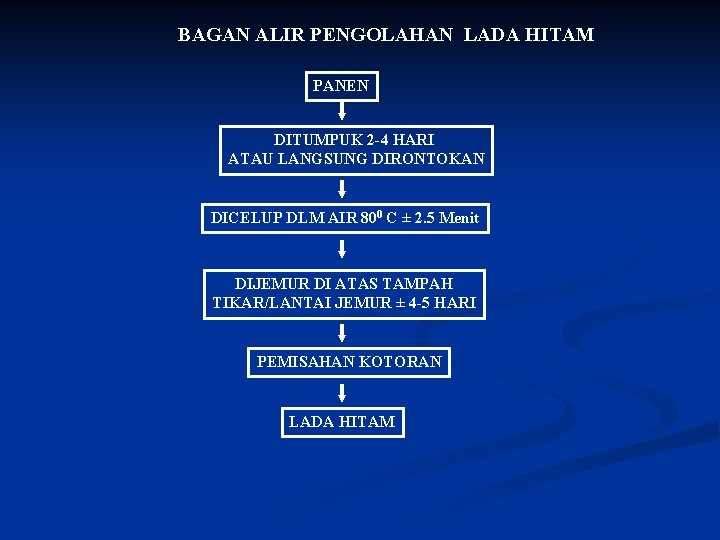 BAGAN ALIR PENGOLAHAN LADA HITAM PANEN DITUMPUK 2 -4 HARI ATAU LANGSUNG DIRONTOKAN DICELUP