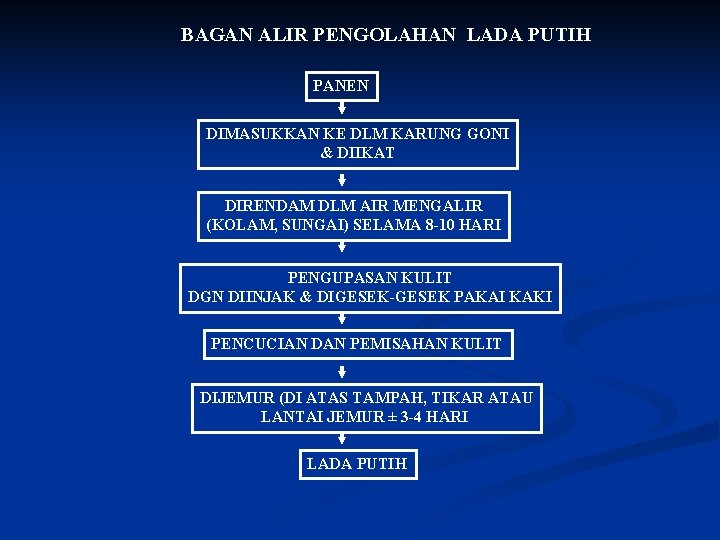 BAGAN ALIR PENGOLAHAN LADA PUTIH PANEN DIMASUKKAN KE DLM KARUNG GONI & DIIKAT DIRENDAM